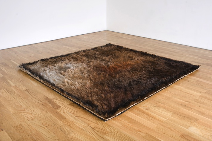 Shag': A Shagpile Carpet Made from Hair | The History of Emotions Blog